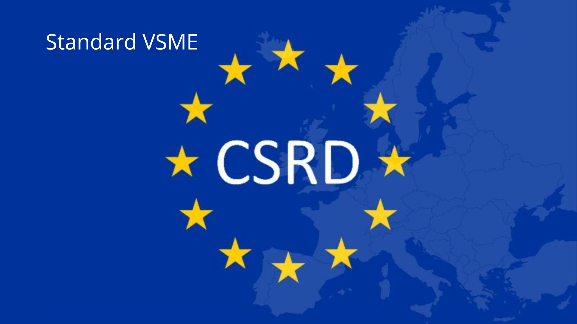 Pat Module Vsme Standard VSME: cos'è e quali sono i benefici per le PMI - Way2Global
